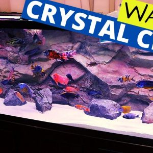 Crystal Clear Aquarium Water - Get It and Keep It (Simple)