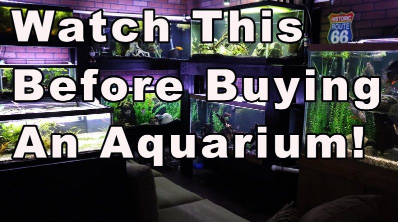 Beginners Guide to The Aquarium Hobby Part 1:  What You Need to Do BEFORE You Buy a Fish Tank!