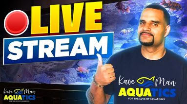 🎬 Live -African Cichlid Top 5 Must Know + Q&A