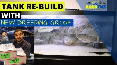Re-Birth of the Original 75G - African Cichlid Breeding Group