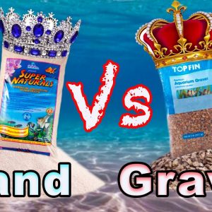 Aquarium Substrate Showdown: Sand vs Gravel! Does it Even Matter?