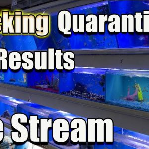 [LIVE] We NEED to Talk About Quarantine (Who/What/Why/When) + Fish Q&A - Bring Your Questions!