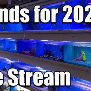 [LIVE] Fish Keeping Trends for 2023 + Q&A  - Bring Your Questions!