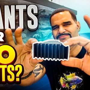 Add Plants Over The Top of Your Tank Like This! (Poth-O-Carry)