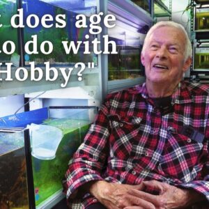 Man Keeps Fish for Over 75 Years | Amazing Fish Room