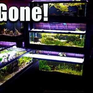 Another Fish Room Wall is GONE!