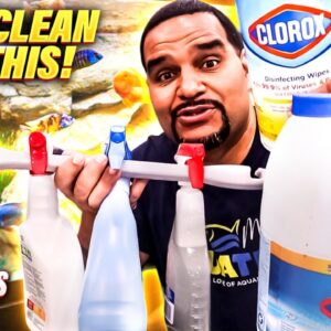 Tank Maintenance Is EASIER Than You Think! - (Beginners Month)