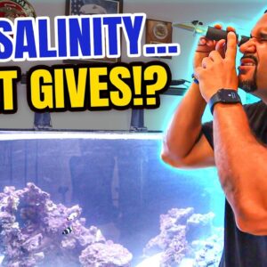 Saltwater Aquarium Evaporation - More Important Than Freshwater!