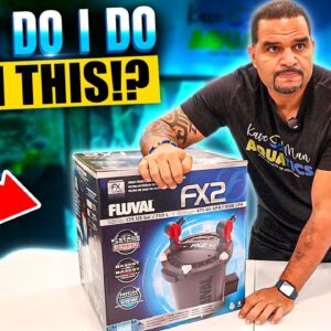 Setup Your Fluval FX2 in 30 Minutes or Less, Guaranteed!