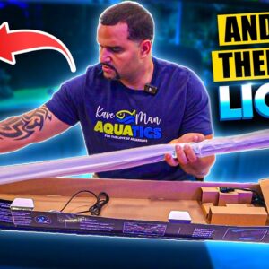 Budget-Friendly Saltwater Tank Lighting Hack - Fluval Sea Marine Light