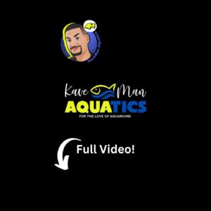 The Truth About RODI Water for Discus Fish