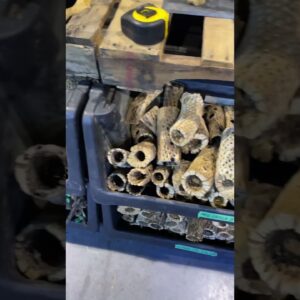 Small Fish Call This Home! #shorts #fishtank #aquascape #aquarium #fishkeeping