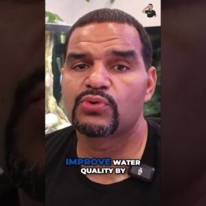 Mastering Discus Care: Feeding & Water Change Secrets