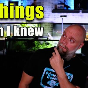 10 Things I Wish I Knew BEFORE Keeping Fish