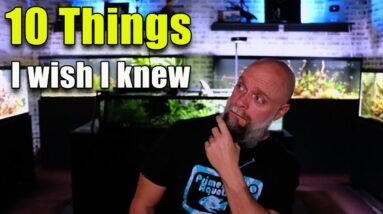 10 Things I Wish I Knew BEFORE Keeping Fish