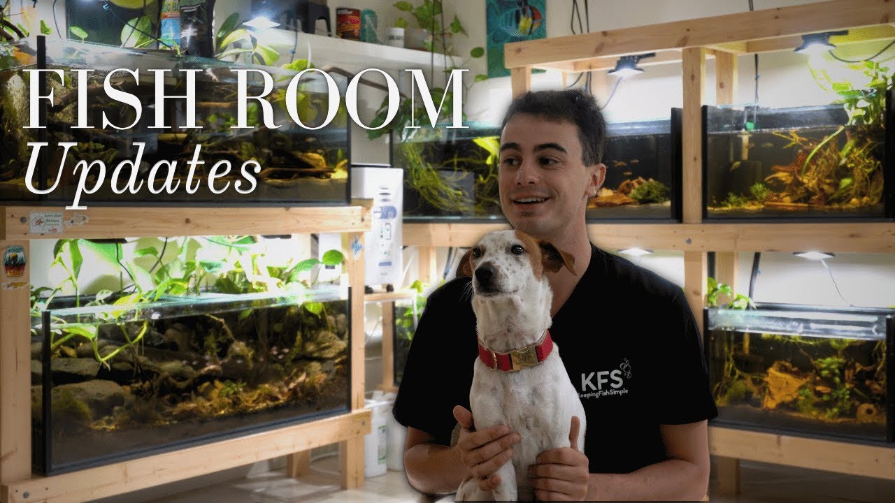 Fish Room Updates | A Few Days In My Life