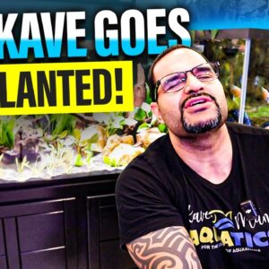 Beginner Takes On Professional Aquascaping Challenge!