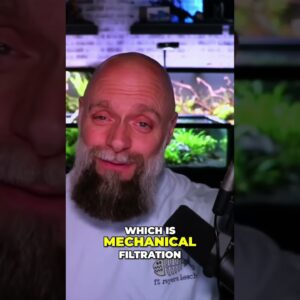 Upgrade Your Aquarium’s Filtration with Hang On Back Filters
