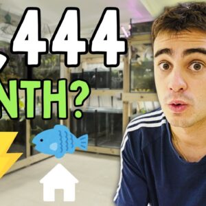 How Much Does My Fish Room Cost to Run?