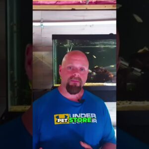 New Fish: Quarantine to Avoid Tank Disease!
