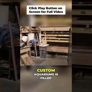 Aquarium Stand Building: The Challenge of Finding Straight Boards!