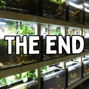 End of an Era: Saying Goodbye to Our First Shop